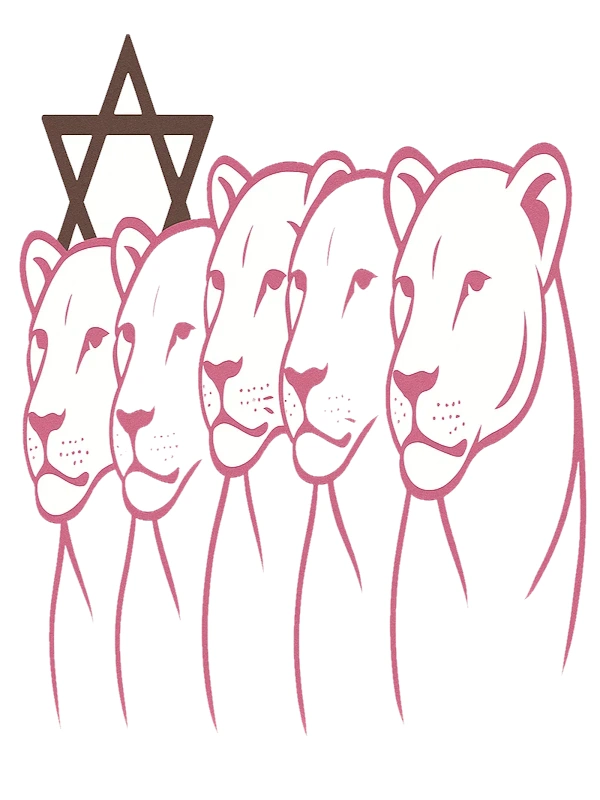 פעילויות